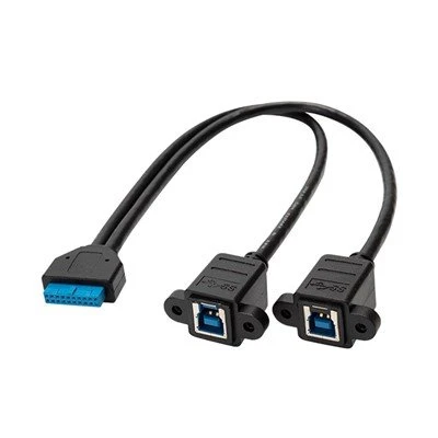 USB3.0 20 हैडर फीमेल को 2 माइक्रो-बी मेल केबल पर पिन करें